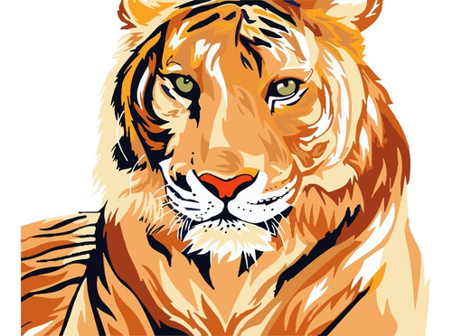 Pintura Por Números Tigre, Producto 100% Colombiano