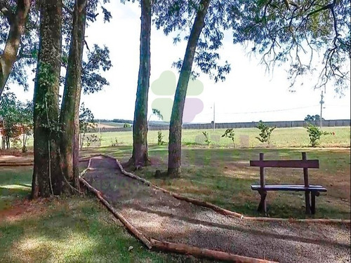 Imagem 19 de 28 de Terreno Industrial, W Park Condomínio Industrial, Mogi Mirim - Te08619 - 34837535