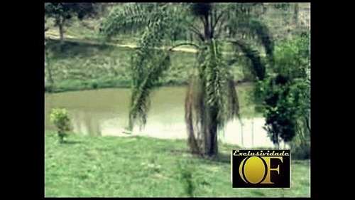 Imagem 6 de 10 de Sítio Para Venda Em Amparo, Rural - Sit 023_1-2383828