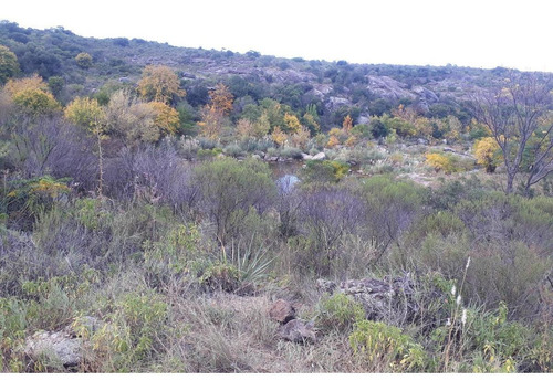 Imagen 3 de 14 de Oportunidad!! Venta Terreno Con Bajada Exclusiva Al Rio En Cabalango - Cordoba