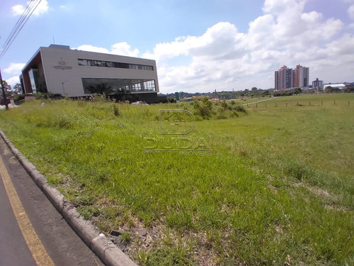 Imagem 4 de 6 de Terreno - Prospera - Ref: 33437 - V-33434
