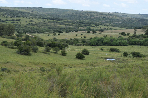 Imagen 10 de 20 de Venta Chacra Sierra Ruta 39 Aigua Sierra De Los Caracoles