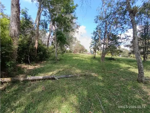 Vendo Lote En Llano Grande Vereda Cabeceras De 6.307 M² Sobre Vía