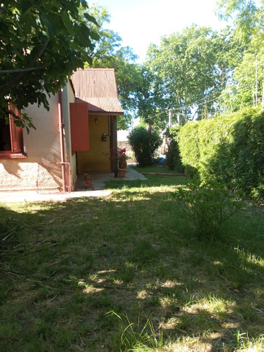 Casa Única En Su Estilo, Espacios Verdes Disfrutables En Gran Terreno, A Metros De Rivera. Se Vende Con Renta.