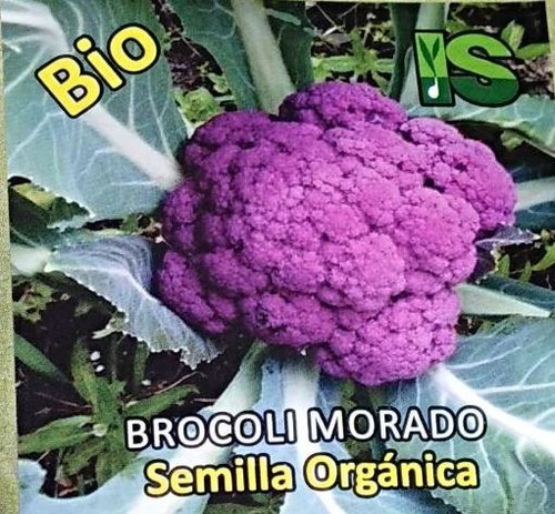 Semillas Organicas De Bocroli Morado X1 Gramo