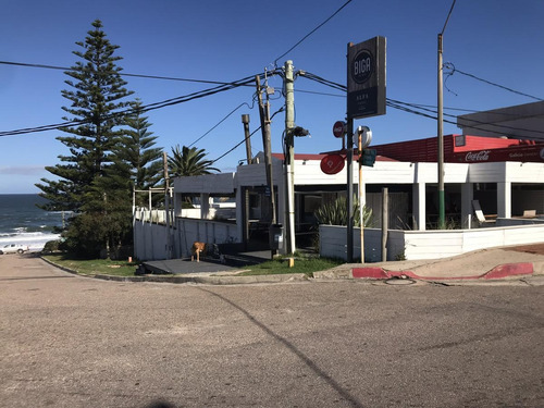 Local - Montoya