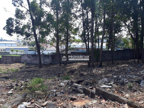 Imagem 10 de 20 de Terreno À Venda, 760 M² Por R$ 620.000,00 - Cidade Dutra - São Paulo/sp - Te0390