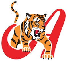 Imagen 3 de 5 de Franela Camisa Beisbol Baseball Lvbp Tigres De Aragua 17