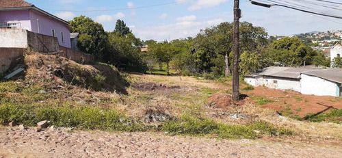 Imagem 9 de 10 de Terreno Estuda Propostas - Tr16505v