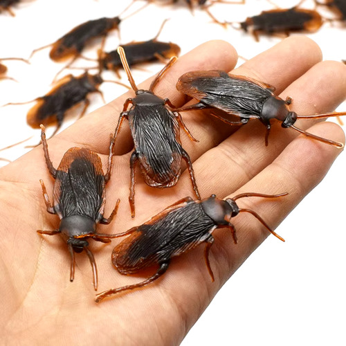 Kit 25 Cucarachas Falsas Plásticas Broma Halloween Insectos