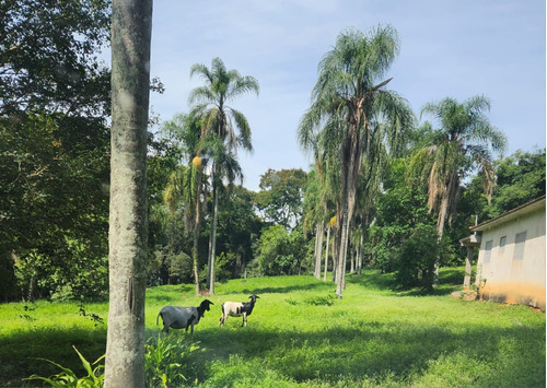 Sitio Com 5 Alqueires, Todo Arruado, Com Sede Montada, Lago , Nascentes , Mata Nativa E Fauna Abundante