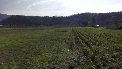 Imagen 4 de 5 de Venta Terreno | Guadalupe Victoria En Vicente Guerrero