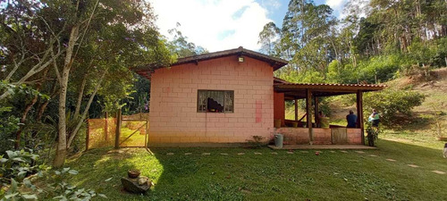 Imagem 13 de 14 de Maravilhoso Sítio Em Meio A Natureza De Biritiba Mirim!!!
