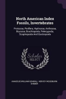North American Index Fossils, Invertebrates : Protozoa, P...