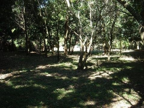 Terreno-para-venda-em-parque-jatibaia-(sousas)-campinas-sp - Te2132
