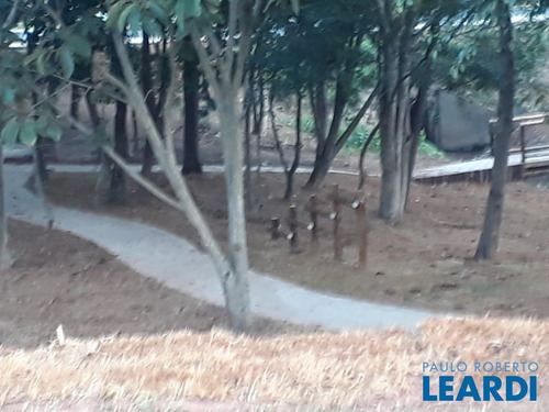Imagem 5 de 13 de Area - Parque Residencial Jundiaí Ii - Sp - 615878
