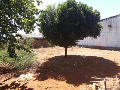 Imagem 5 de 6 de Terreno Residencial Para Venda Em Palmas, Plano Diretor Norte - 1116_2-905621