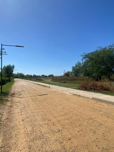 Imagen 3 de 6 de Terreno En Gualeguaychu