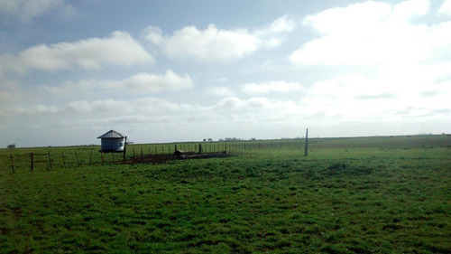 Campo Ganadero Gral. Lavalle