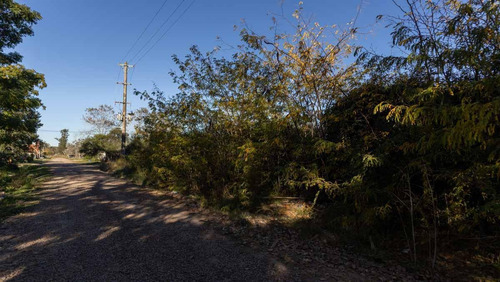 Imagen 7 de 7 de 3 Lotes En Conjunto O Individuales En Lobos