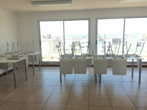 Hermoso Studio Con Patio Exclusivo