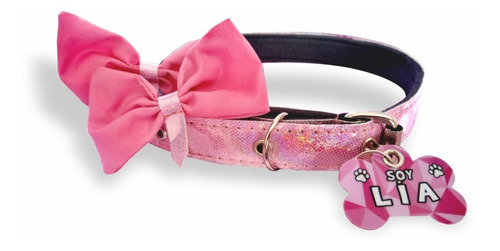 Collar De Lujo + Placa Pvc Full Color + Moñitas Perrita