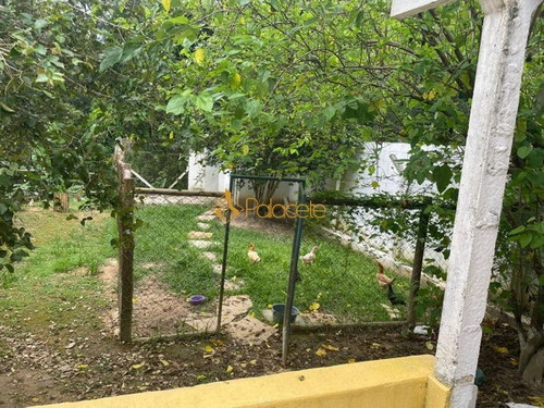 Imagem 3 de 16 de Rural Chacara Com 4 Quartos - 59643-v