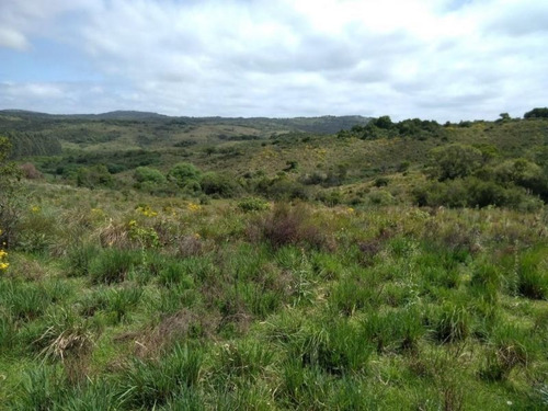 Campo En Venta
