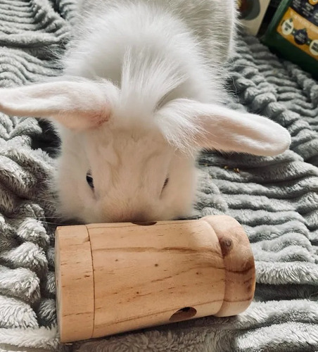 Imagen 4 de 6 de Dispensador Snack Juguete Cobayos Conejos Hamster Madera