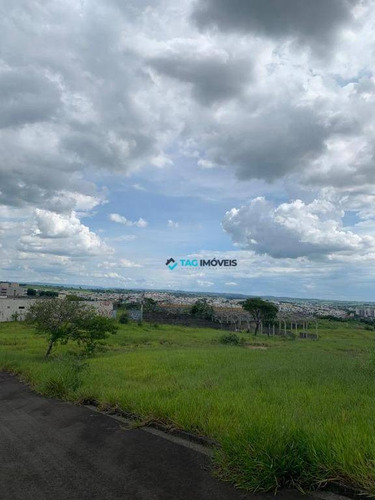 Terreno À Venda, 10000 M² Por R$ 8.000.000 - Jardim São João - Campinas/sp - Te0308