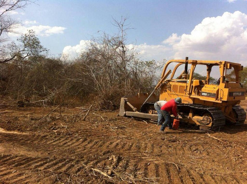 Imagen 4 de 14 de Terreno En Venta En San Carlos