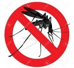 Imagen 3 de 6 de Mosquitero Negro - El Mejor En Calidad Y Precio !!!