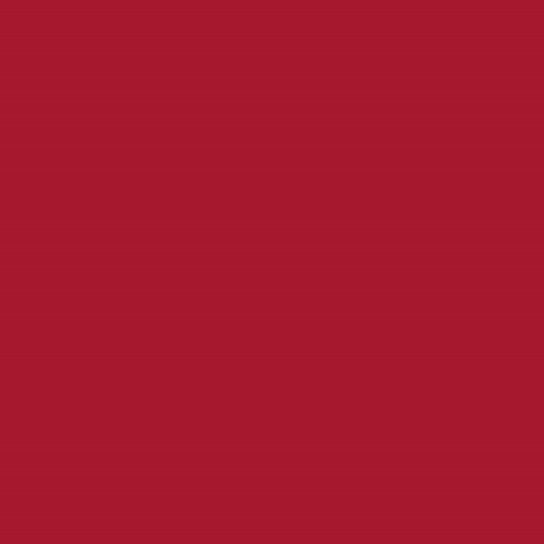 Rollo De Vinil Smart Removible Cricut 33 Cm X 90 Cm Color Rojo