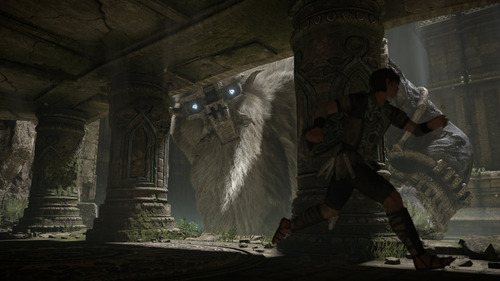 Shadow Of The Colossus Remake Standard Edition Ps4 Físico (Usado)
