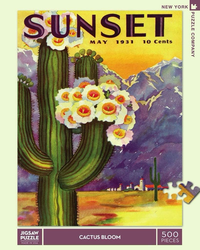 New York Puzzle Company - Sunset Cactus Blooms - Rompecabeza
