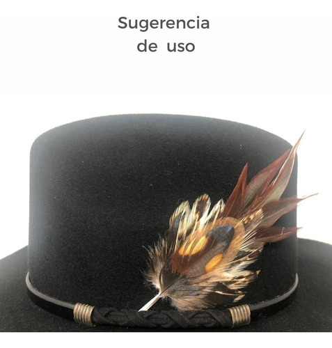 Arreglo De Pluma Café Para  Tu Sombrero Tardan