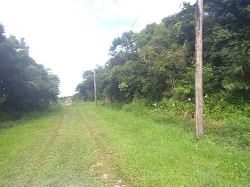 Imagem 4 de 7 de Terreno - Venda - Jd Palmeiras - Itanhaem - Ita2798