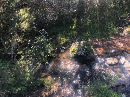 Venta De Chacra En Pueblo Edén, Ruta 12