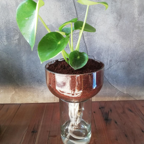 Imagen 5 de 6 de Cuchara Little Plant 27 Sin Soporte. Maceta Autorregante