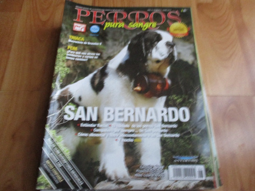 Revista Perros Pura Sangre San Bernardo