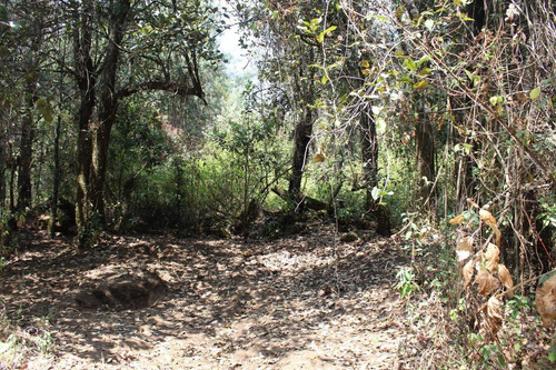 Terreno En Paraje Tetecuintla