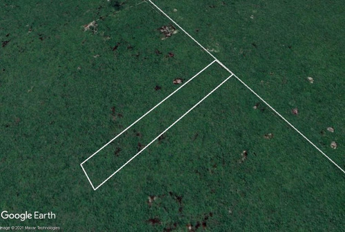 Imagen 4 de 5 de Terreno De 15 Ha - A 7 Km De Chicxulub Puerto
