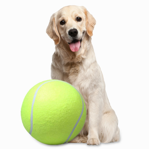 Pelota Tennis Gigante Juguete Para Mascota 24 Cm Q1016