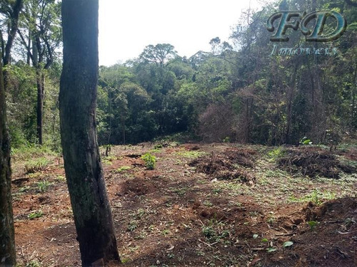Imagem 3 de 3 de Terrenos Para Financiamento À Venda Em Mairiporã/sp - Compre O Seu Terrenos Para Financiamento Aqui! - 1484800
