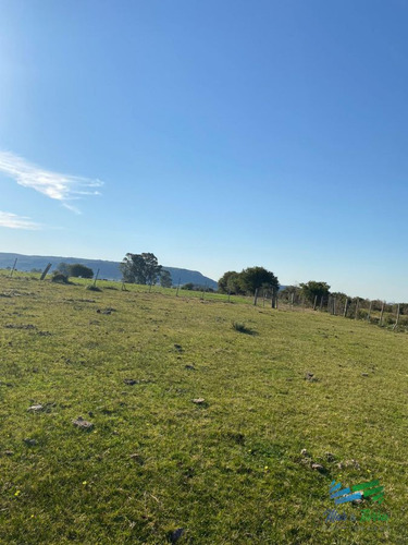 Imagen 6 de 26 de Buen Campo Mixto A 1 Hora De Punta, Buen Acceso E Instalaciones.