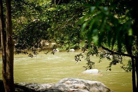 Imagen 3 de 7 de Riverside Restaurant Opportunity