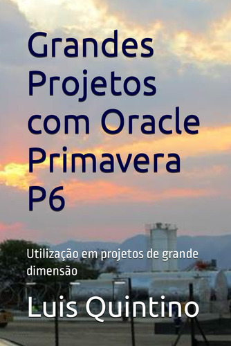 Grandes Projetos Com Oracle Primavera P6: Utilização Em Proj