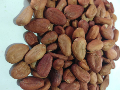 Cacao Horneado En Horno De Leña (2 Kg)