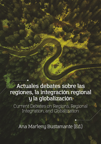 Actuales Debates Sobre Las Regiones, La Integración Region