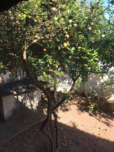 Fantástica Chácara Com 3 Dormitórios À Venda, 1250 M² Por R$ 1.200.000 - Chácara Recreio Alvorada - Hortolândia/sp - Ch0198